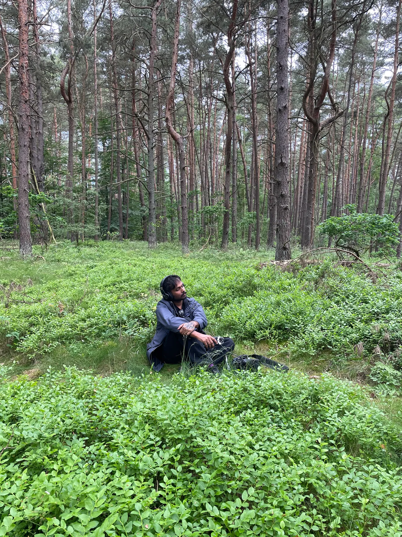 Akshay Gite monitoring environmental sound with headphones in a pine forest